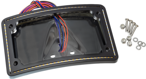 Letric Lighting Co Perfect Plate Light - Curve BLK Universal FIT