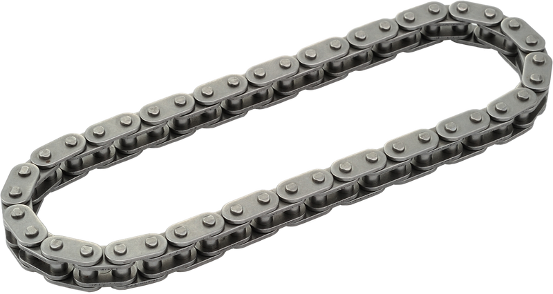 Harddrive Replacement Cam Chain - TC 96