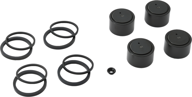 Harddrive Caliper Rebuild Kit - FLT 08-UP 44080-08c