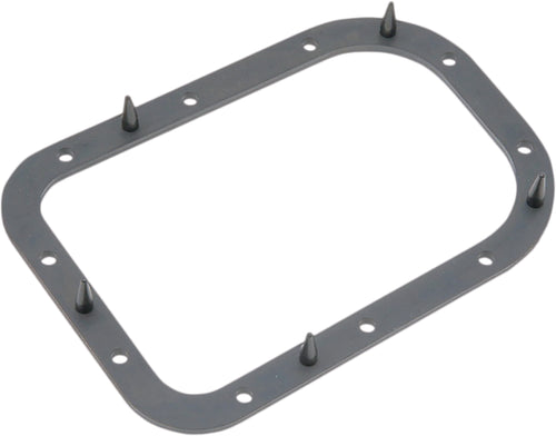 Harddrive Fuel Pump Door Gasket - Viton OE 61381-02