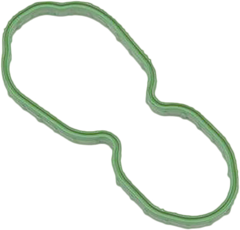 Harddrive Fuel Pump Door Gasket - 07-UP OE 75301-07