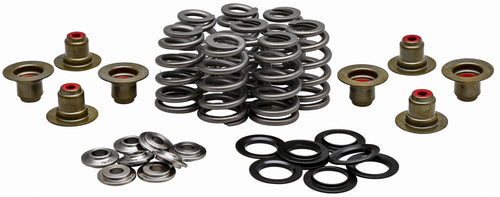 KPMI Valve Spring Kit - .625 Lift Titanium Retainers