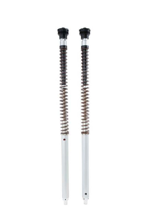 Ohlins NIX 30 Adventure Fork Cartridge Kit - Harley Pan America
