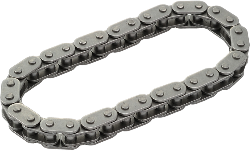Harddrive Replacement Cam Chain - TC 96