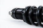 Ohlins STX 36 Blackline — 1991-2017 Harley-Davidson Dyna FXD