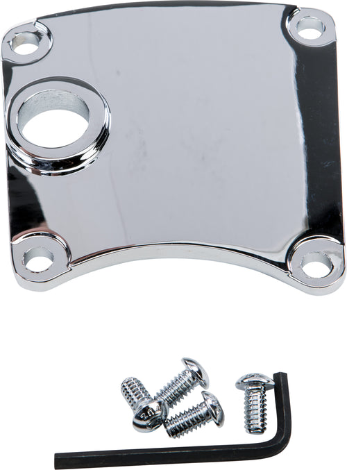 Harddrive Inspection Cover - W/MID Controls Chrome