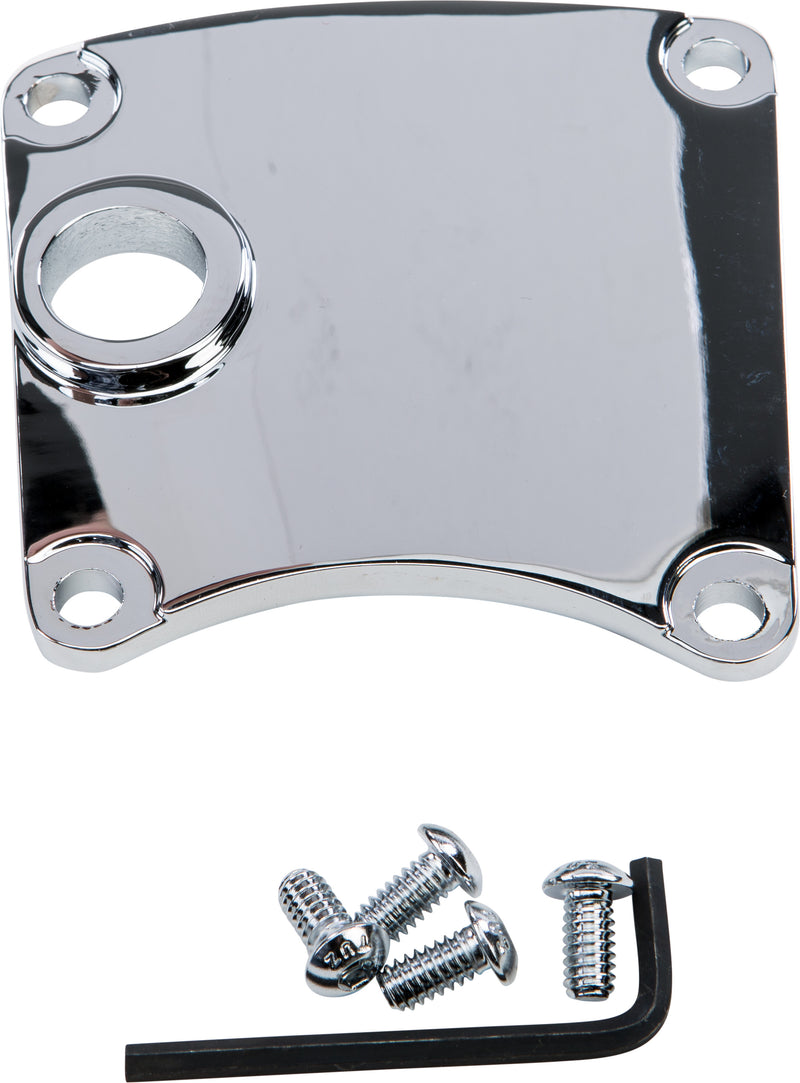 Harddrive Inspection Cover - W/MID Controls Chrome