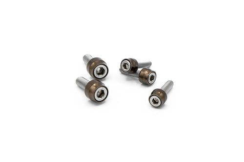 Santoro Fabworx Chacho's Bolt Kit - Bronze Twin CAM ENG Trans Prim