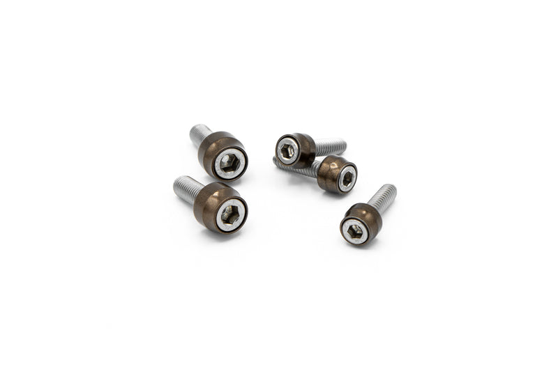 Santoro Fabworx Chacho's Bolt Kit - Bronze Twin CAM ENG Trans Prim
