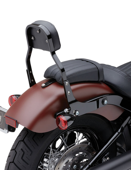 Cobra Detach Backrest Mini - Black Flde/Flsl/Fxbb 2018-2025