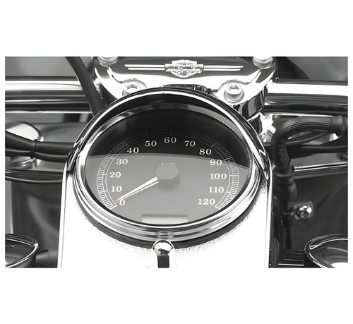 National Cycle Guards — 2004-2007 Harley-Davidson