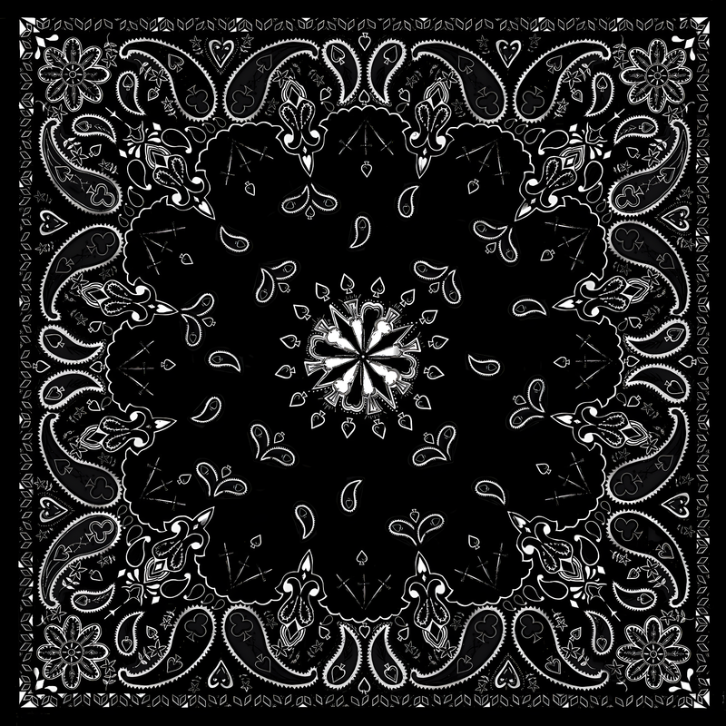 Zan Bandanna - Black Paisley