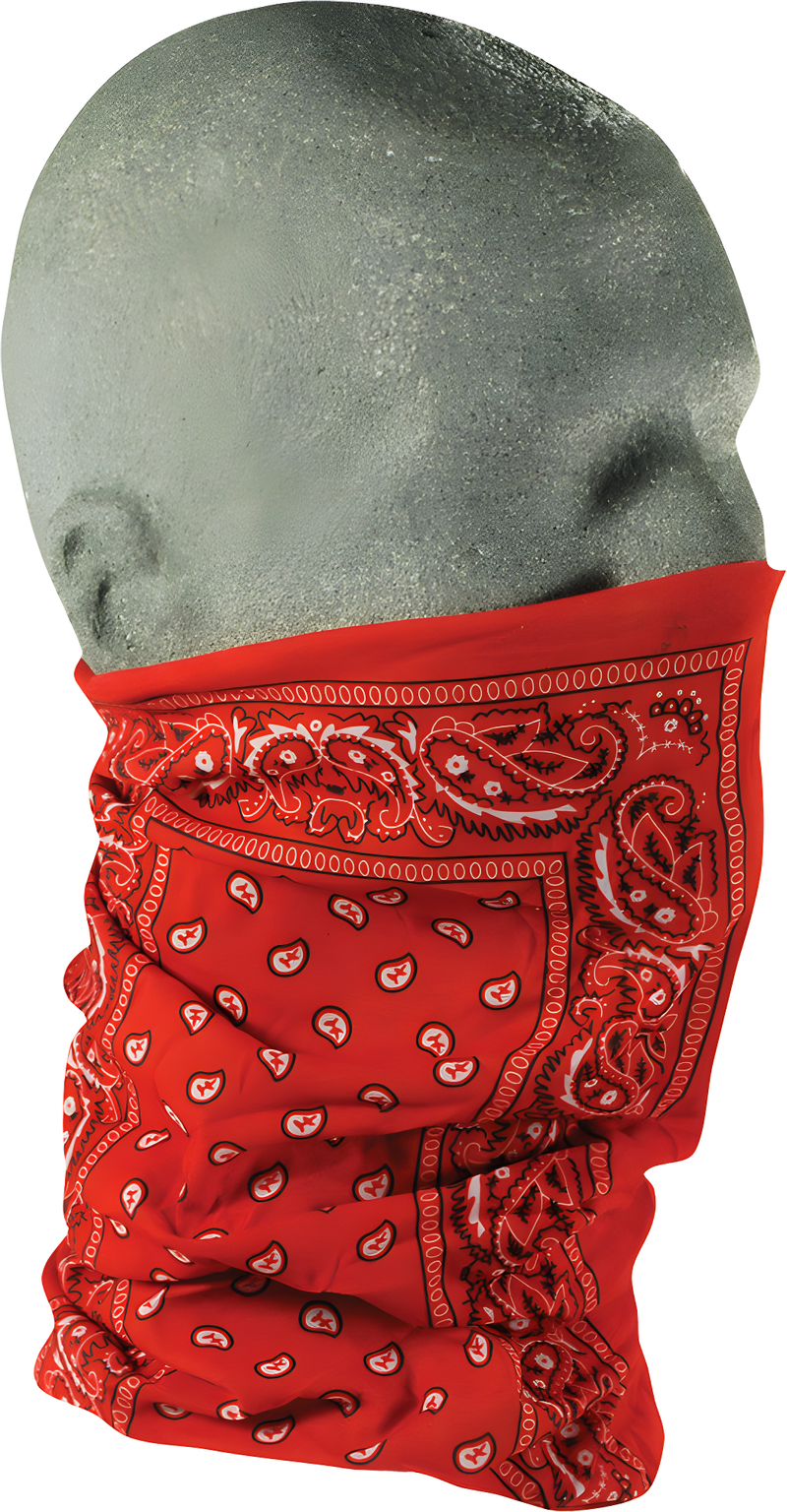 Zan Motley Tube - RED Paisley