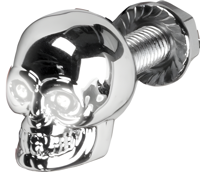 Harddrive Lighted Skull License Plate Screw - LIC Plate Screw White
