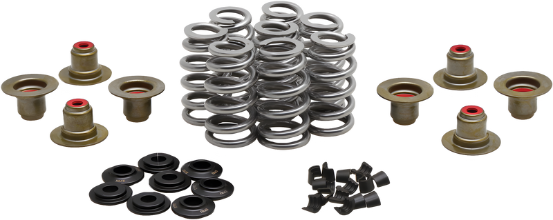 KPMI BEEHIVE VALVE SPRING KIT .640 LIFT M8`17-24 NON VVT - .640 Lift M8`2017-20… — Harley-Davidson (2017-2024)