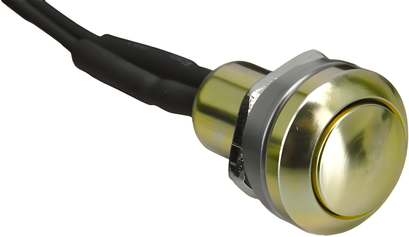 Harddrive Mini Push Button Switch - Gold
