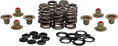 KPMI BEEHIVE VALVE SPRING KIT .550 LIFT M8`17-24 NON VVT - .550 Lift M8`2017-20… — Harley-Davidson (2017-2024)