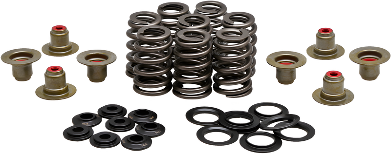 KPMI BEEHIVE VALVE SPRING KIT .550 LIFT M8`17-24 NON VVT - .550 Lift M8`2017-20… — Harley-Davidson (2017-2024)