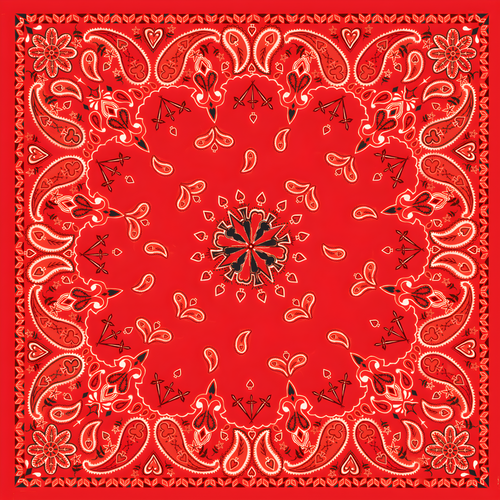 Zan Bandanna - RED Paisley