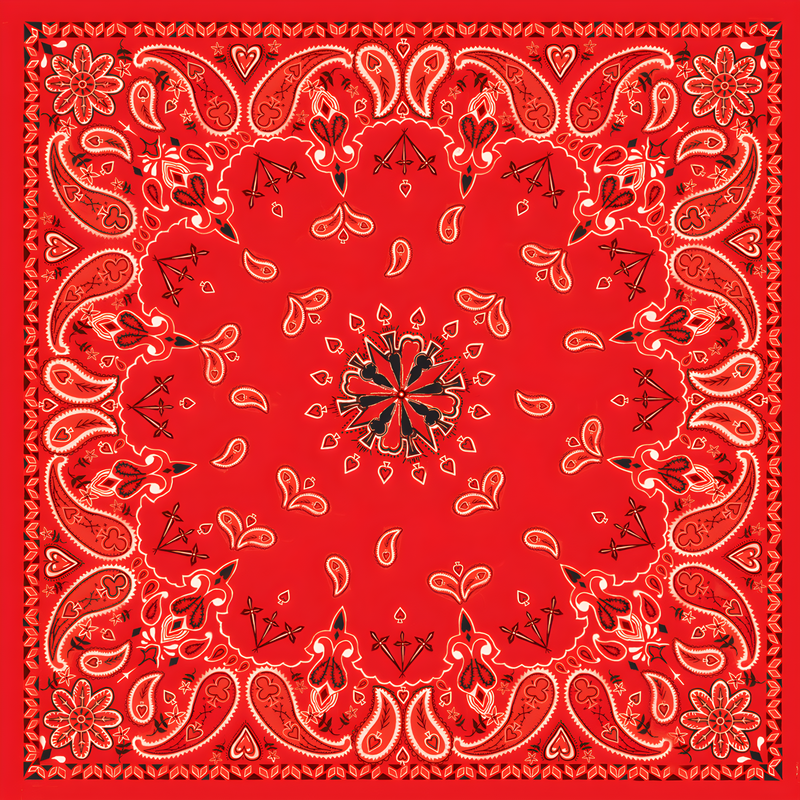 Zan Bandanna - RED Paisley