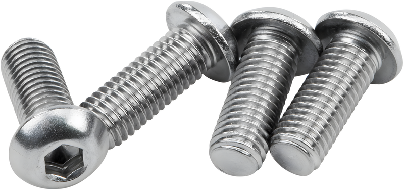 Harddrive Sissybar 1/4-28 X 5/8 Stainless Hardware