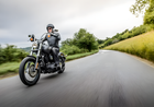 Ohlins STX 36 Twin — 2004-2020 Harley-Davidson Sportster XL