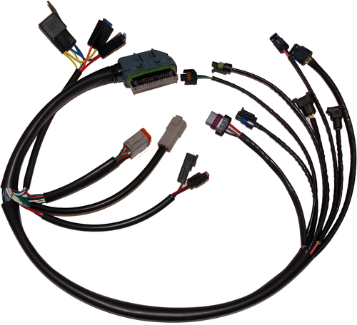 NAMZ Custom Cycle Ignition/EFI Wiring Harnesses - 2002-2003 — Harley-Davidson Road King, Road King Classic, CVO Road King (2002-2003)