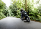 Ohlins STX 36 Twin — 2004-2020 Harley-Davidson Sportster XL