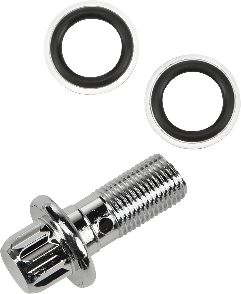 Harddrive Banjo Bolt Kit - W/ Washers Chrome 12-PT Oe#41739-84