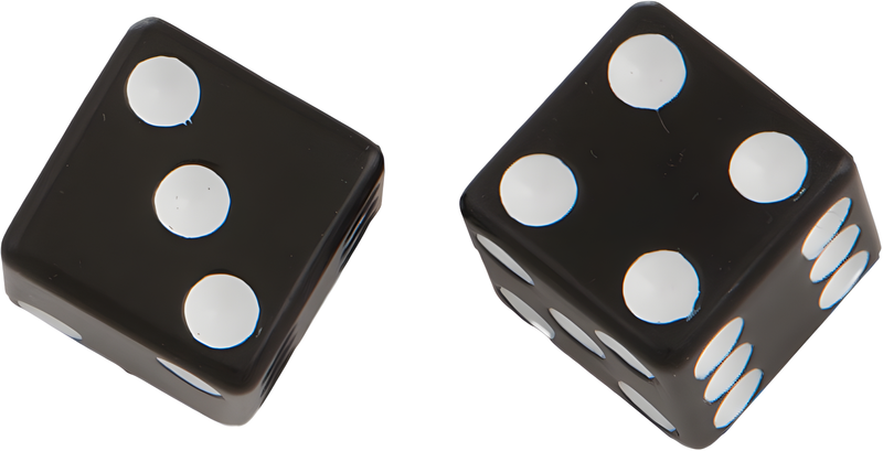 Harddrive Valve Stem Caps - Black Dice PR