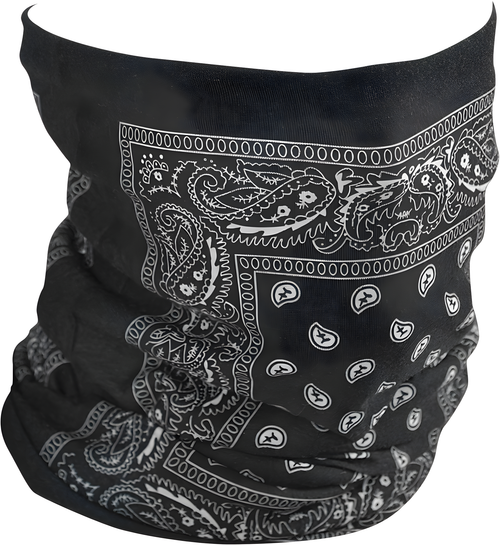 Zan Fleece Lined Motley Tube - Black Paisley