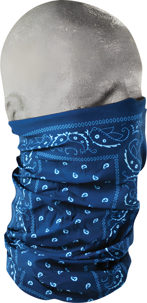 Zan Motley Tube - Blue Paisley