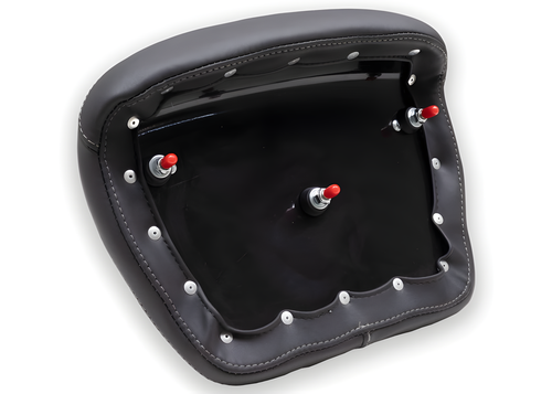 Mustang Motorcycle Backrest Color — 2008-2021 Harley-Davidson
