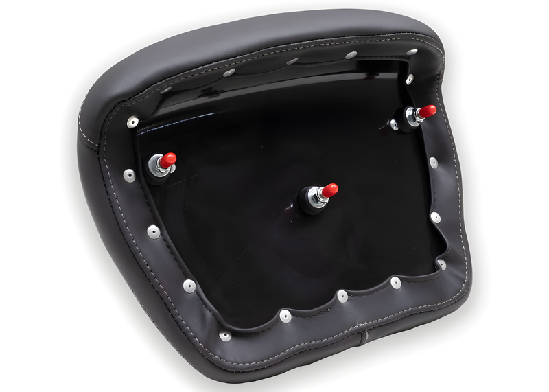 Mustang Motorcycle Backrest Color — 2008-2021 Harley-Davidson