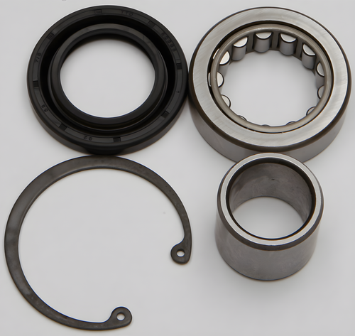 All Balls Inner Primary Ball Bearing & Seal Kit - AND Seal KIT — Harley-Davidson Street Glide, Tri Glide Ultra Classic, Road King (2008-2025)