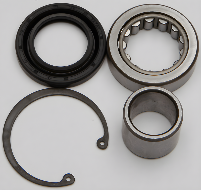 All Balls Inner Primary Ball Bearing & Seal Kit - AND Seal KIT — Harley-Davidson Street Glide, Tri Glide Ultra Classic, Road King (2008-2025)