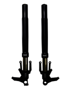 Ohlins FGRT 300 — 2023-2025 Harley-Davidson
