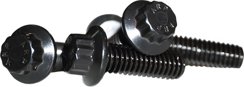 Lyndall Brakes 12 Point Front Rotor bolts - Black 5/16-18x1