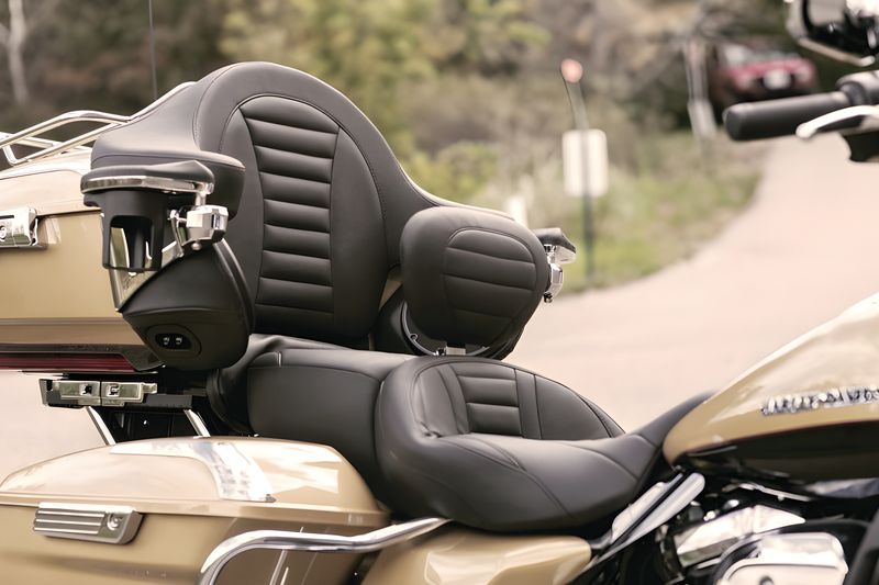 Mustang Motorcycle Armrest — 2008-2021 Harley-Davidson Touring