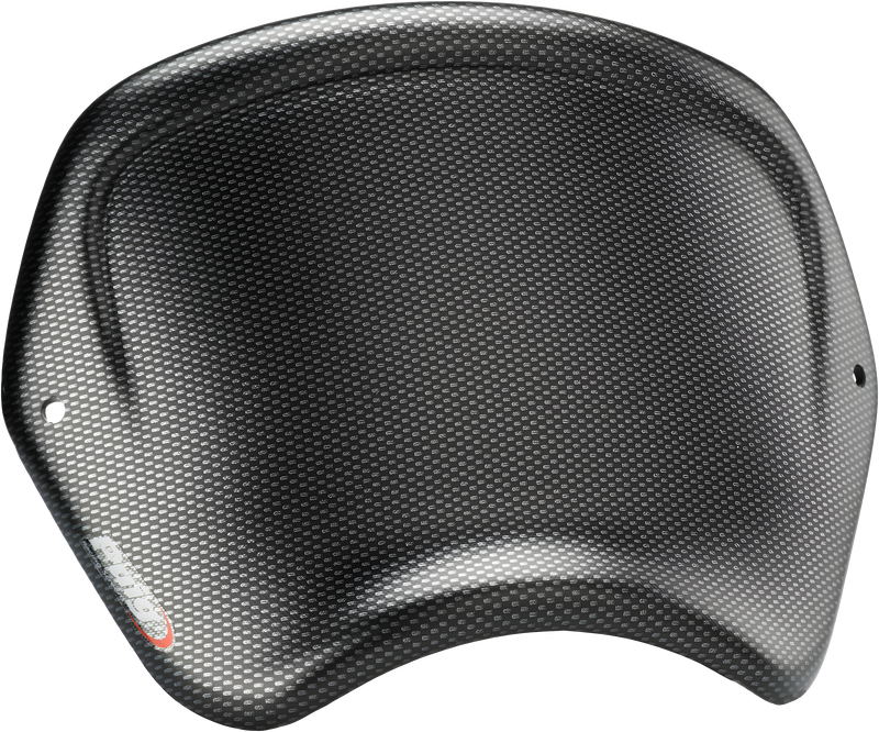 PUIG Front Plate - Carbon
