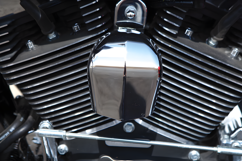 Harddrive Horn Cover - Chrome