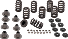 S&S Cycle Valve Springs — Harley-Davidson Street Glide, Softail Fat Boy 114, Road King Special (2017-2026)