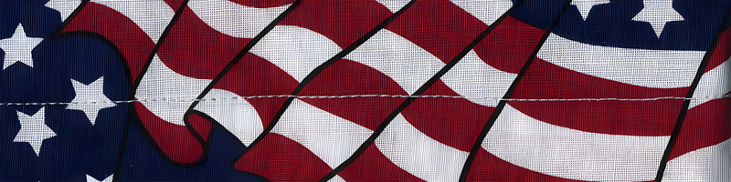 Zan Cooldanna Cotton - Wavy American Flag