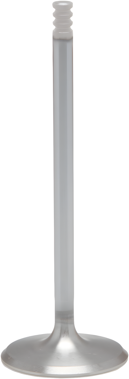 KPMI White Diamond Intake Valve - Int. Valve 1.614 O/S M8 `2017-2024 NON VVT — Harley-Davidson (2017-2024)